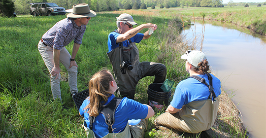 Lone Oaks Farm Hosts BioBlitz