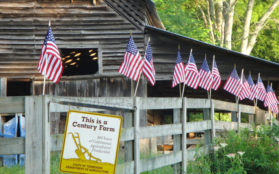 Spring Valley Farms